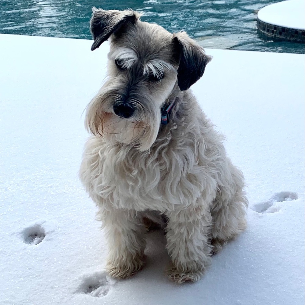 Meet your Posher, Carley